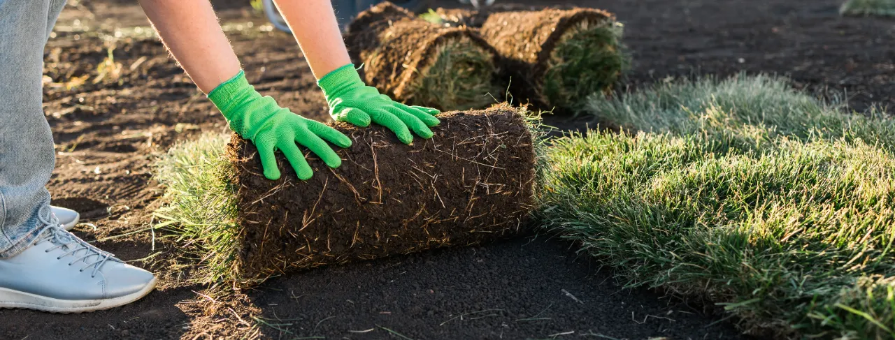 Sod project 5