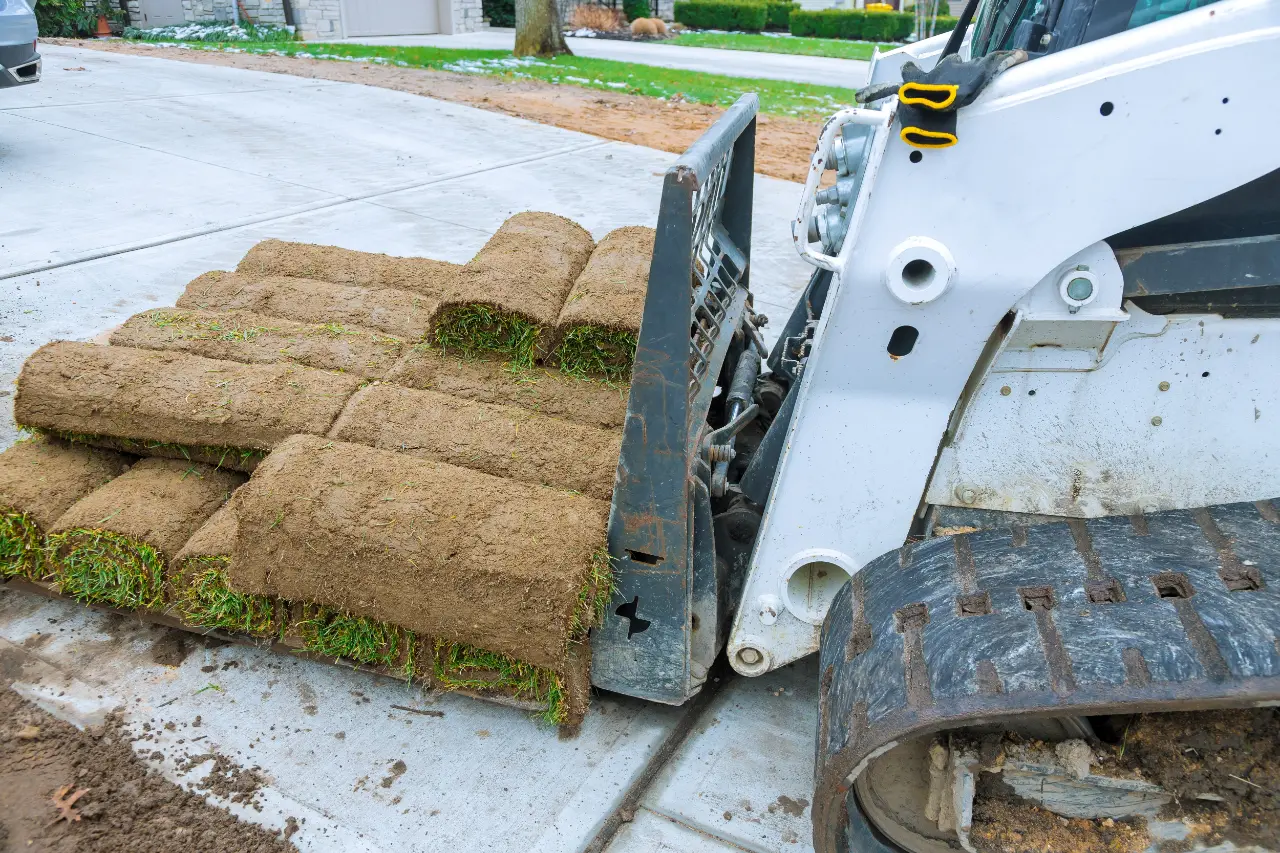 Sod project 2