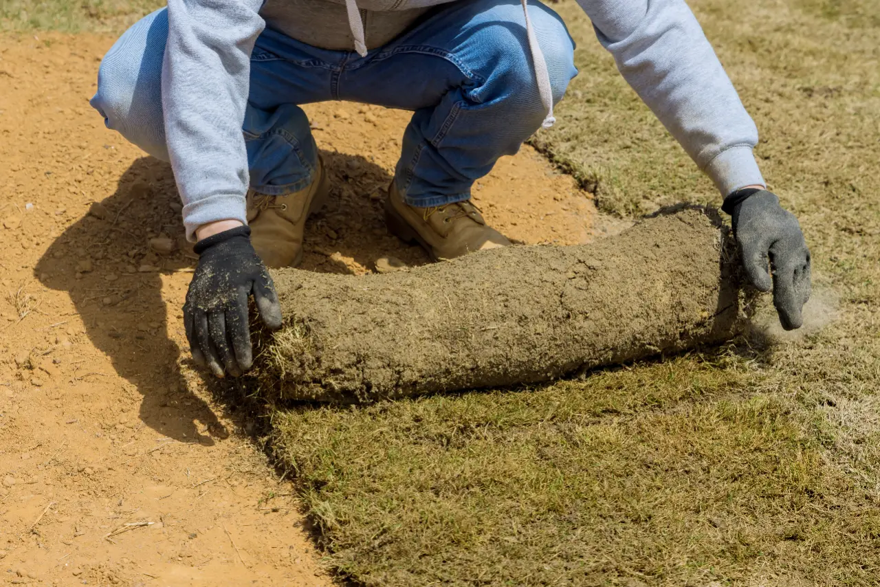 Fresh sod installation in Connecticut