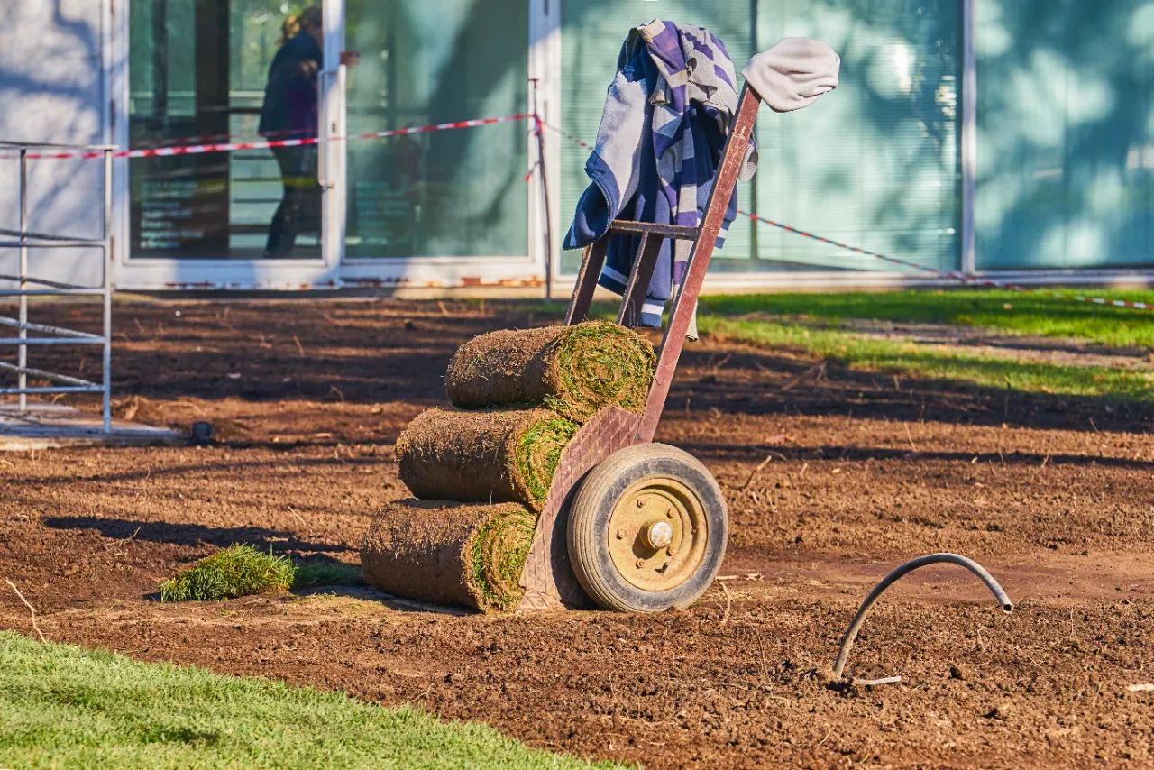 Sod project 4